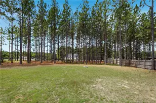 175 Desert Orchid Cir, Raeford, NC 27376 - Photo 40