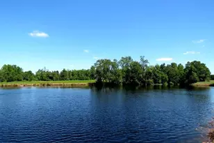 4512 Tobacco Rd, Orrum, NC 28369 - Photo 10