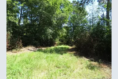 4512 Tobacco Road, Orrum, NC 28369 - Photo 20