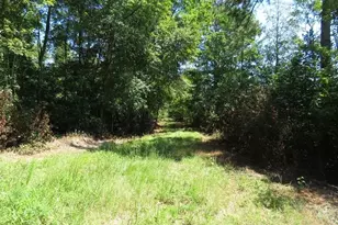 4512 Tobacco Rd, Orrum, NC 28369 - Photo 20