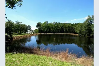 4512 Tobacco Road, Orrum, NC 28369 - Photo 4