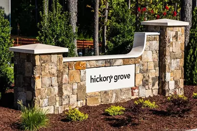 217 Hickory Grove Drive, Sanford, NC 27330 - Photo 44