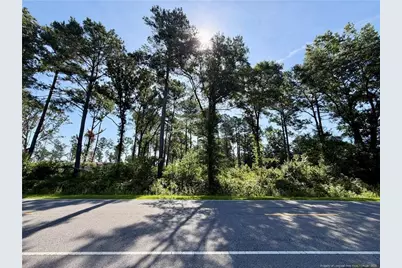 1396 Mercer Mill Road, Lumberton, NC 28358 - Photo 2