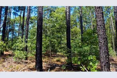 202 Englewood Drive, Raeford, NC 28376 - Photo 18