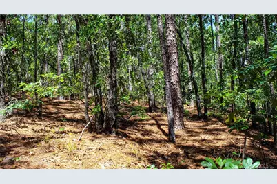 202 Englewood Drive, Raeford, NC 28376 - Photo 20
