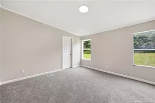 816 Dusty Winds Ct, Willow Springs, NC 27592 - Photo 22