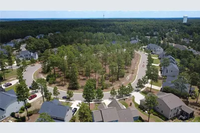 175 Wiregrass Lane, Southern Pines, NC 28387 - Photo 20