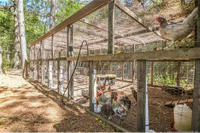21181 Traders Road, Laurel Hill, NC 28351 - Photo 10