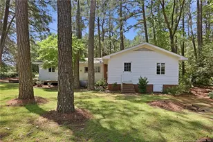 3993 McArthur Rd, Broadway, NC 27505 - Photo 46