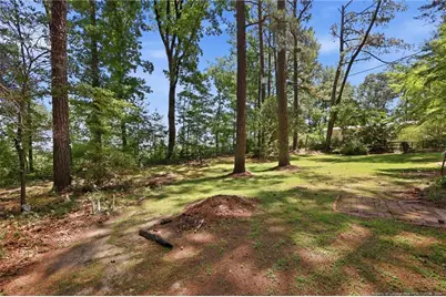 3993 McArthur Road, Broadway, NC 27505 - Photo 50