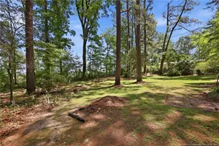3993 McArthur Rd, Broadway, NC 27505 - Photo 50