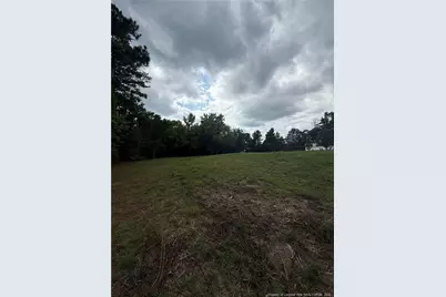 Carroll Store Road, Autryville, NC 28318 - Photo 2