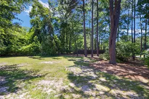 110 Damson Ct, Raeford, NC 28376 - Photo 36