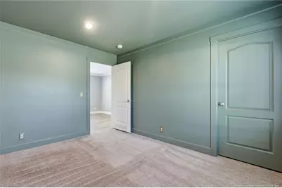 115 McIver Road, Raeford, NC 28376 - Photo 18