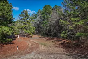 3600 Quarter Horse Run Ln, Parkton, NC 28371 - Photo 4