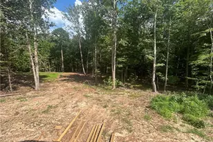 4529 Buckhorn Rd, Sanford, NC 27330 - Photo 24