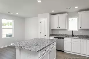 29 Laforce Ln, Broadway, NC 27505 - Photo 8