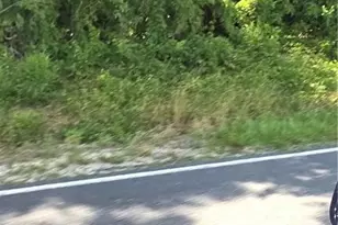 Lakewood School Rd, Salemburg, NC 28385 - Photo 1