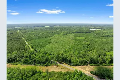 Burney Road, White Oak, NC 28399 - Photo 2
