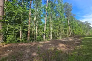 Tbd Cabins Creek Rd, Vass, NC 28394 - Photo 1