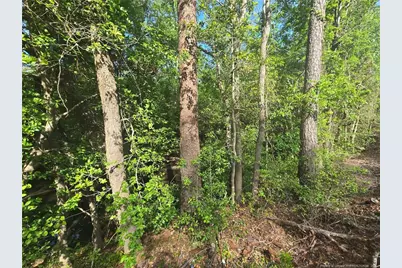 Tbd Cabins Creek Road, Vass, NC 28394 - Photo 2