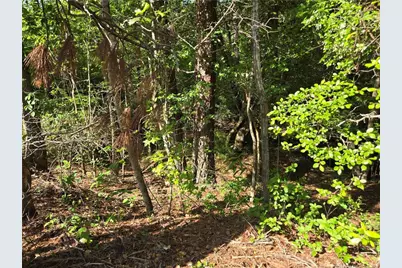Tbd Cabins Creek Road, Vass, NC 28394 - Photo 6
