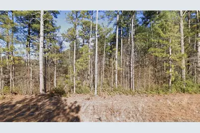 W Parkton Tobermory Road, Parkton, NC 28371 - Photo 1
