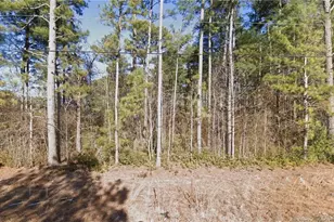 W Parkton Tobermory Rd, Parkton, NC 28371 - Photo 1