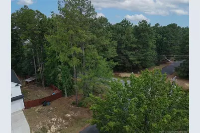 12 Stonecliff Lane, Sanford, NC 27332 - Photo 36