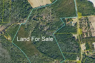 Live Oak Methodist Church Rd, White Oak, NC 28399 - Photo 1