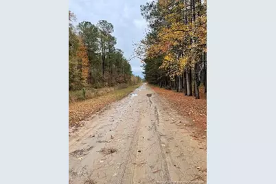 Porcelain Lane, Maxton, NC 28364 - Photo 2