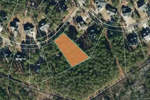 3335 Carolina Way, Sanford, NC 27332 - Photo 34