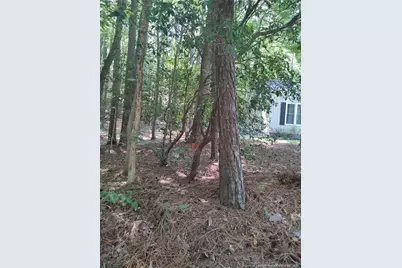 1454 W Carolina Drive, Sanford, NC 27332 - Photo 16