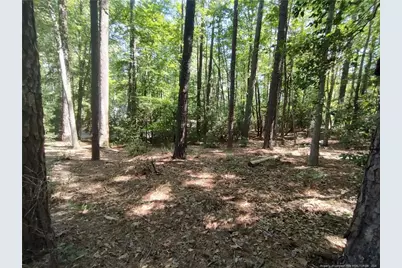 1454 W Carolina Drive, Sanford, NC 27332 - Photo 12