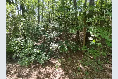 1454 W Carolina Drive, Sanford, NC 27332 - Photo 6
