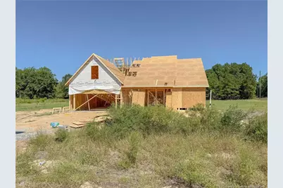 16 Rolands Ridge (Lot 1) Road, Autryville, NC 28318 - Photo 1