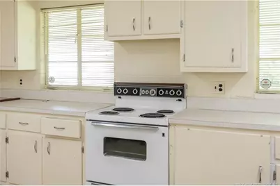 528 Fayetteville Street, Newton Grove, NC 28366 - Photo 12