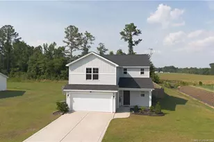 62 Dalmation Ln, Lumber Bridge, NC 28371 - Photo 34