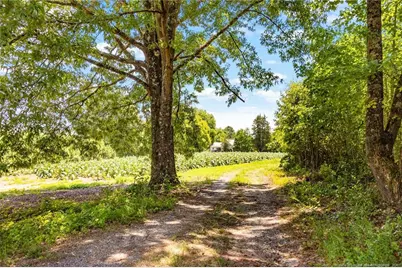 229 Fawn Lane, Sanford, NC 27330 - Photo 14