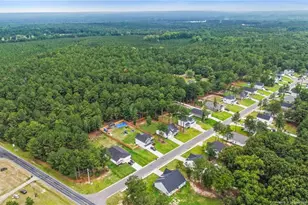 161 Flying Bolt Dr, Raeford, NC 28376 - Photo 34