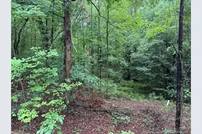 0 Carolina Way, Sanford, NC 27332 - Photo 6