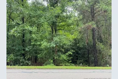0 Carolina Way, Sanford, NC 27332 - Photo 2