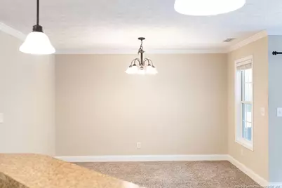 38 Cross Roads Court, Broadway, NC 27505 - Photo 18