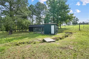 1713 Cameron Hill Rd, Cameron, NC 28326 - Photo 50