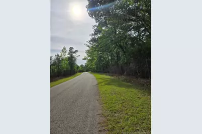 234 Circle Drive, Vass, NC 28394 - Photo 4
