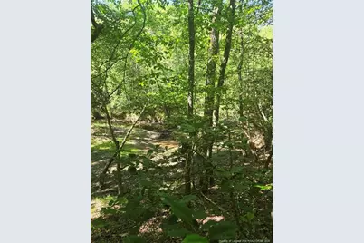 234 Circle Drive, Vass, NC 28394 - Photo 2