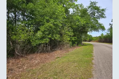 234 Circle Drive, Vass, NC 28394 - Photo 6