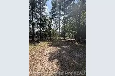 44 Cutter Circle, Sanford, NC 27332 - Photo 34
