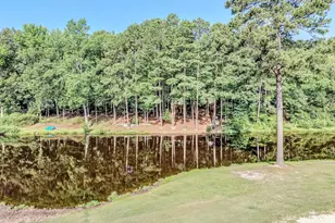 4038 Timber Wolf Cir, Sanford, NC 27332 - Photo 36