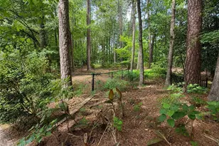 908 Botany Woods Dr, Sanford, NC 27330 - Photo 18